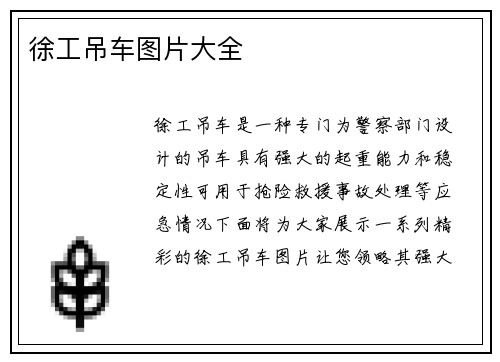 徐工吊车图片大全