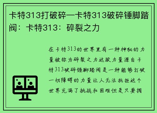 卡特313打破碎—卡特313破碎锤脚踏阀：卡特313：碎裂之力